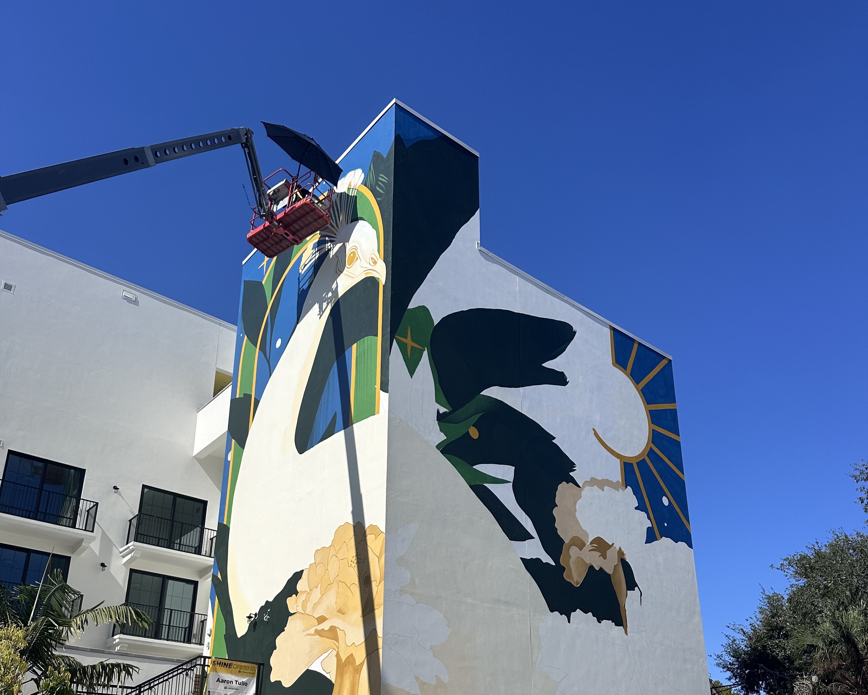 Aaron Tullo on a lift, painting a sun and magnolia mural in progress