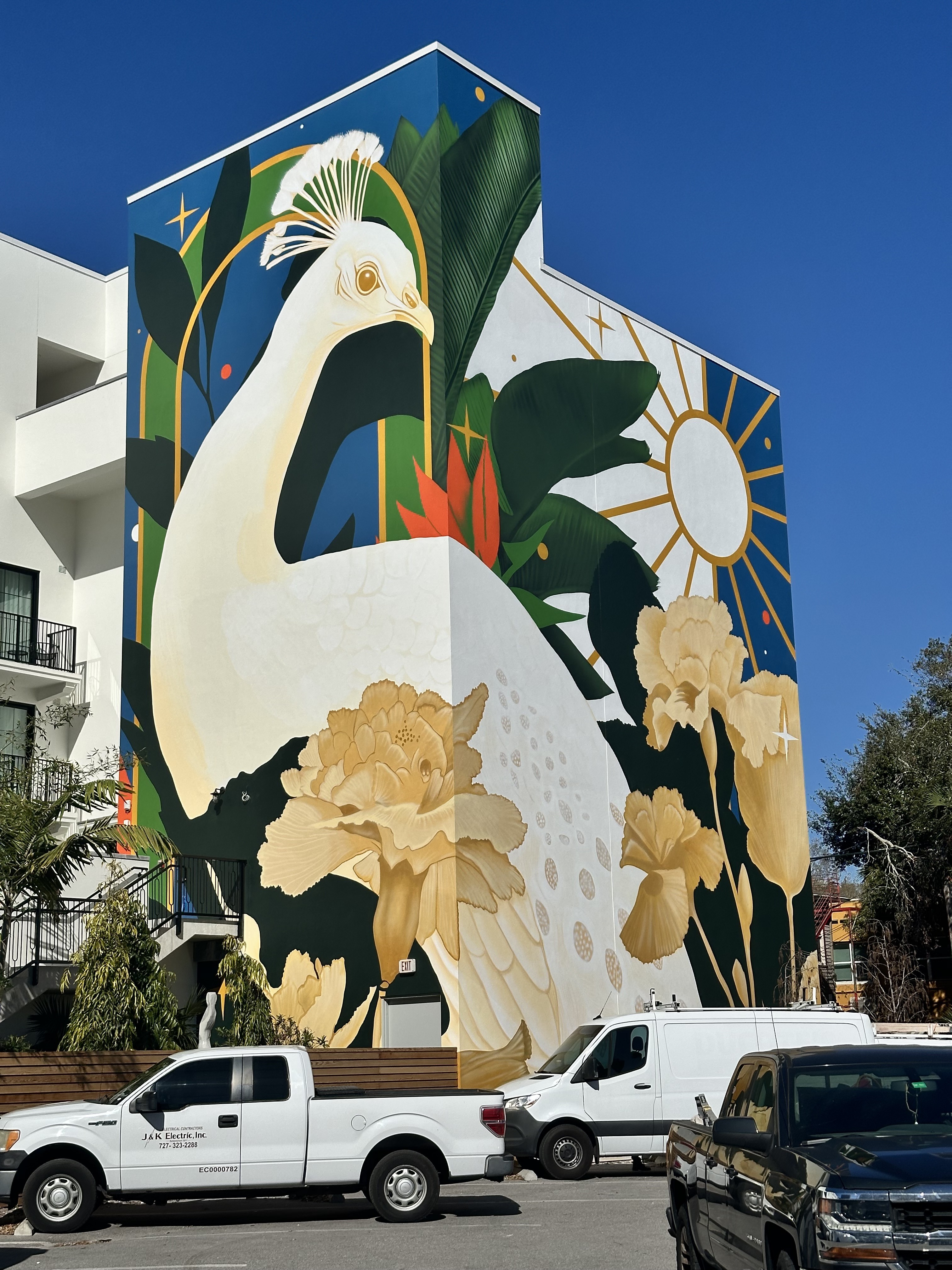 Tullo magnolia and pelican